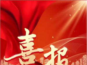 喜報(bào)！精大儀表被認(rèn)定為 合肥市大數(shù)據(jù)企業(yè)